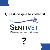 Carousel de présentation du collectif, destiné à être partagé sur les réseaux notamment.