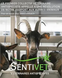 Photo d'une chèvre avec le logo sentivet et la phrase indiquant que le premier collectif vétérinaire antispeciste appelle à une révolution de notre rapport aux autres animaux.