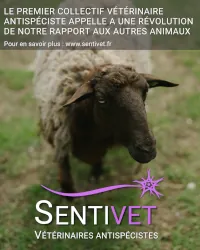 Photo d'un mouton avec le logo sentivet et la phrase indiquant que le premier collectif vétérinaire antispeciste appelle à une révolution de notre rapport aux autres animaux.